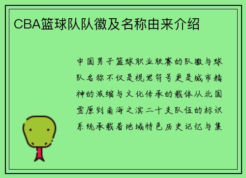 CBA篮球队队徽及名称由来介绍