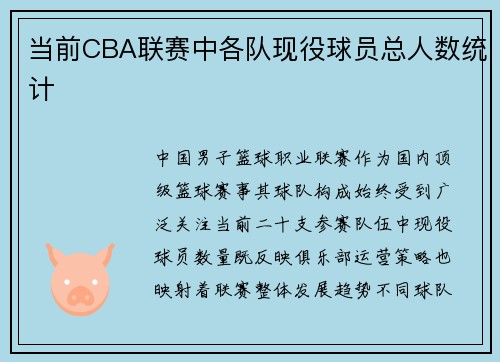 当前CBA联赛中各队现役球员总人数统计